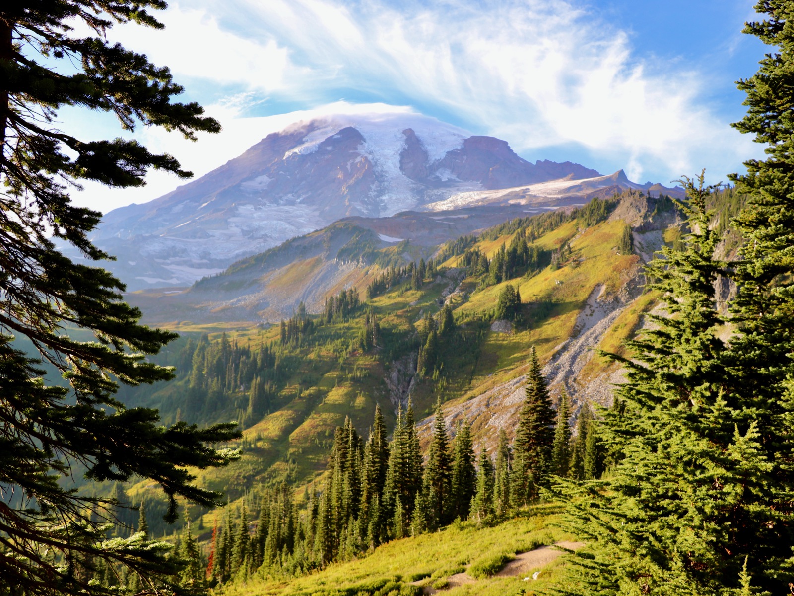 Mount Rainier above subalpine meadows