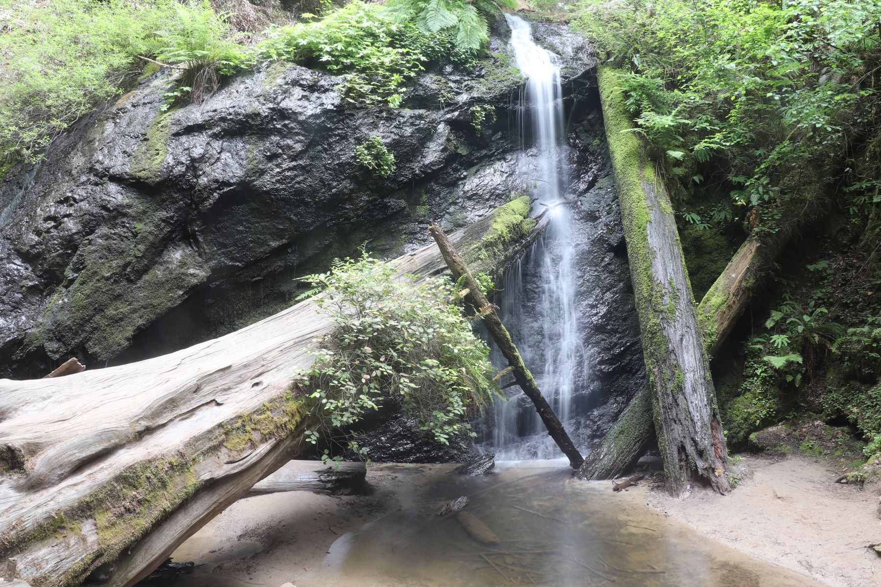 A waterfall pouring into a mossy forest pool